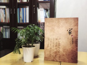 陳氏個性圖文家譜-個性創(chuàng)意族譜設(shè)計制作