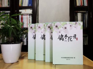 鴿子花開(kāi)-歌手EP光盤卡書-光盤包裝盒-成都光盤印刷