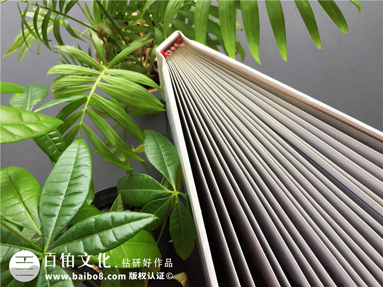 20周年同學聚會紀念冊-經典同學會相冊樣本-四川機電職業(yè)技術學院