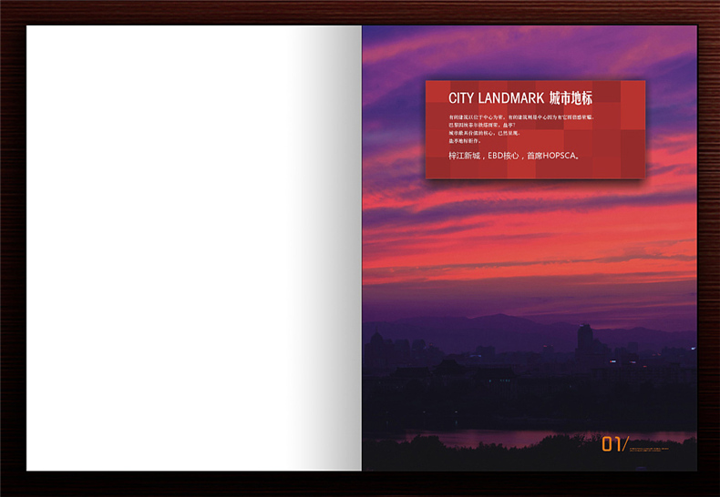 【高端樓書設(shè)計(jì)制作】售樓處房地產(chǎn)宣傳畫冊(cè)怎么做高檔簡約大氣!