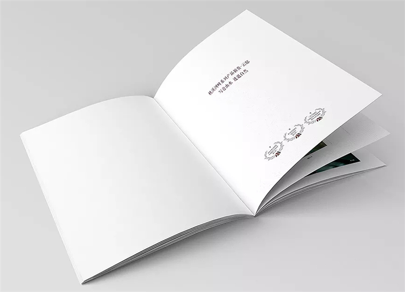 設(shè)計地產(chǎn)樓書一般多少錢1p-樓書設(shè)計價格是多少-地產(chǎn)畫冊收費標準