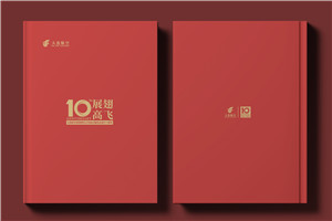 翱翔十載，云端逐夢(mèng)--航空公司10周年紀(jì)念冊(cè)?設(shè)計(jì)定制