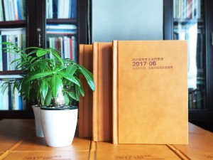企業(yè)代表團出國考察紀念冊定制-培訓學習留念相冊
