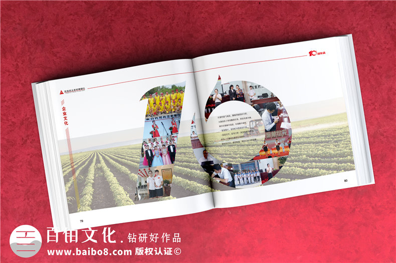 公司周年活動(dòng)紀(jì)念畫冊(cè)-銘記團(tuán)隊(duì)部門成長的周年慶畫冊(cè)設(shè)計(jì)