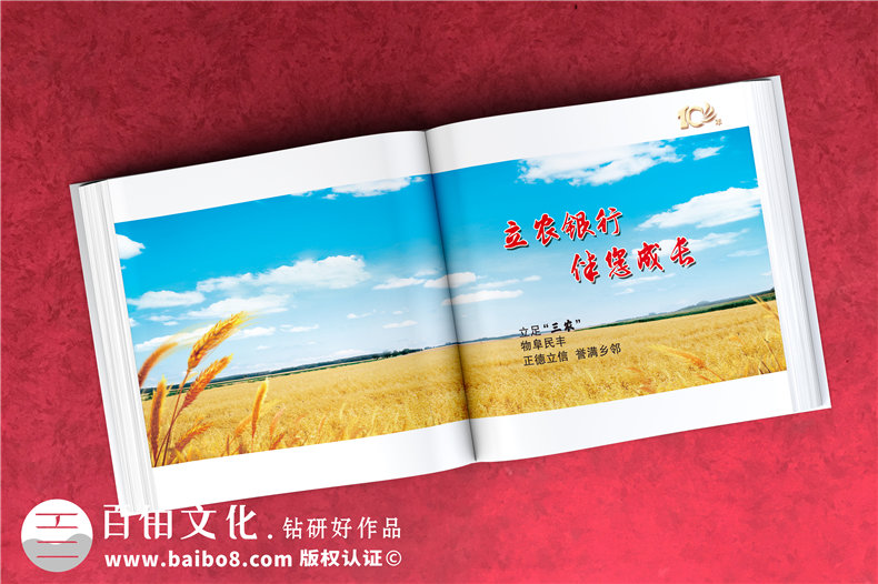 公司周年活動(dòng)紀(jì)念畫冊(cè)-銘記團(tuán)隊(duì)部門成長的周年慶畫冊(cè)設(shè)計(jì)