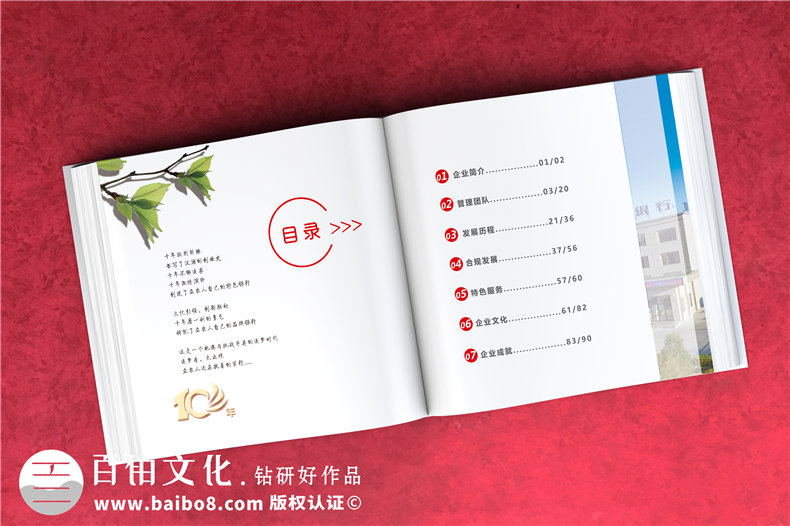 公司周年活動(dòng)紀(jì)念畫冊(cè)-銘記團(tuán)隊(duì)部門成長的周年慶畫冊(cè)設(shè)計(jì)