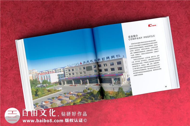 公司周年活動(dòng)紀(jì)念畫冊(cè)-銘記團(tuán)隊(duì)部門成長的周年慶畫冊(cè)設(shè)計(jì)
