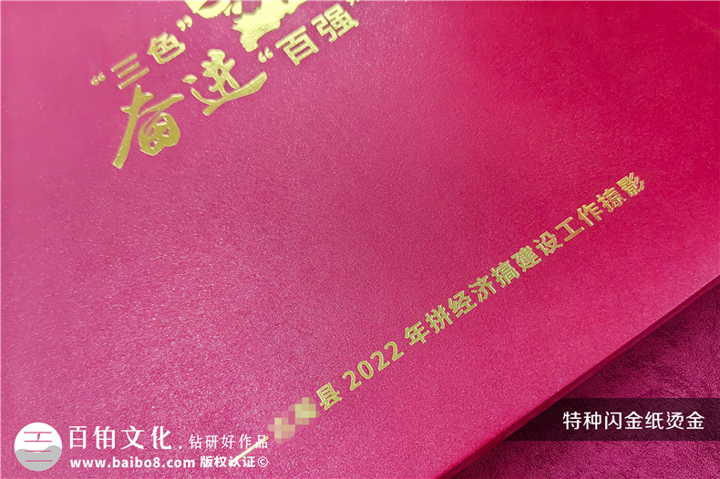 政府周年紀(jì)念冊-政府單位年度經(jīng)濟(jì)建設(shè)工作掠影總結(jié)畫冊