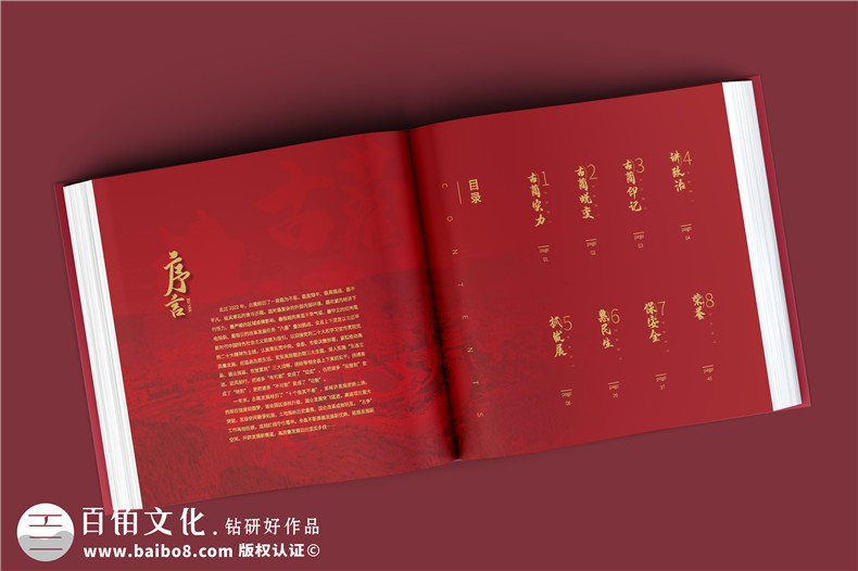 政府周年紀(jì)念冊-政府單位年度經(jīng)濟(jì)建設(shè)工作掠影總結(jié)畫冊