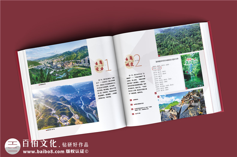 政府周年紀(jì)念冊-政府單位年度經(jīng)濟(jì)建設(shè)工作掠影總結(jié)畫冊