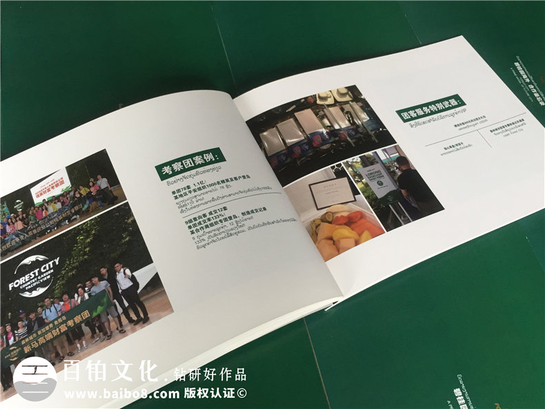 設(shè)計(jì)一本宣傳畫(huà)冊(cè)價(jià)格 設(shè)計(jì)公司制作畫(huà)冊(cè)多少錢(qián)第2張-宣傳畫(huà)冊(cè),紀(jì)念冊(cè)設(shè)計(jì)制作-價(jià)格費(fèi)用,文案模板,印刷裝訂,尺寸大小
