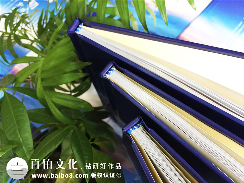 企業(yè)團隊活動紀念冊設計-公司年度總結相冊制作