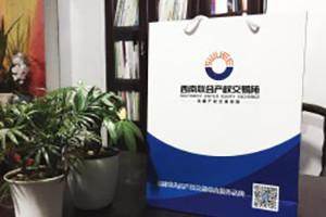 成都公司宣傳畫冊設(shè)計-企業(yè)手提袋定制