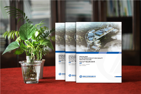 活性鈣生產(chǎn)廠(chǎng)家宣傳冊(cè)設(shè)計(jì)-鈣業(yè)公司畫(huà)冊(cè)制作