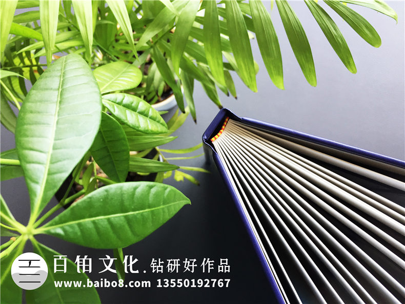 【企業(yè)資質(zhì)手冊】 公司簡介畫冊設(shè)計制作 企業(yè)介紹宣傳冊排版