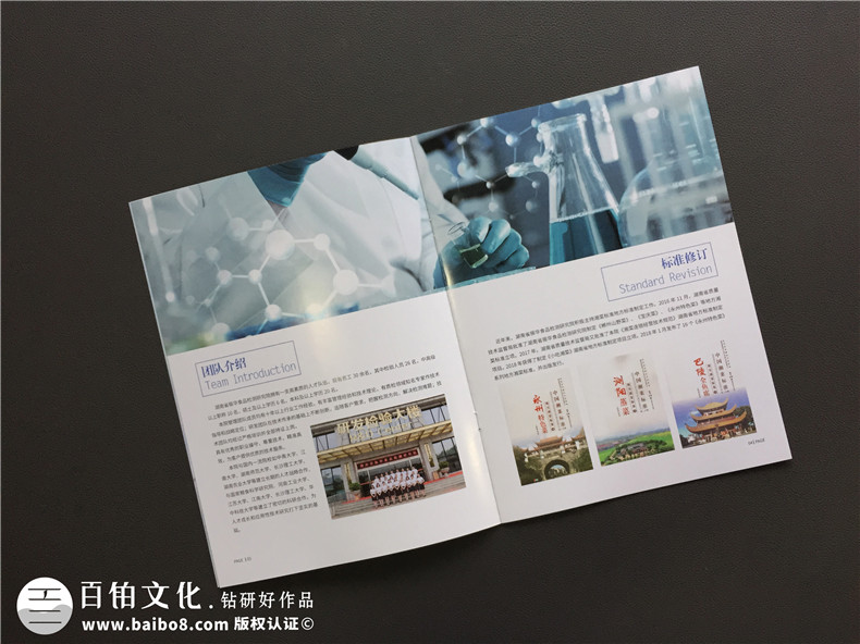 【食品檢測(cè)公司宣傳冊(cè)設(shè)計(jì)】食品企業(yè)畫(huà)冊(cè)制作-長(zhǎng)沙畫(huà)冊(cè)設(shè)計(jì)公司