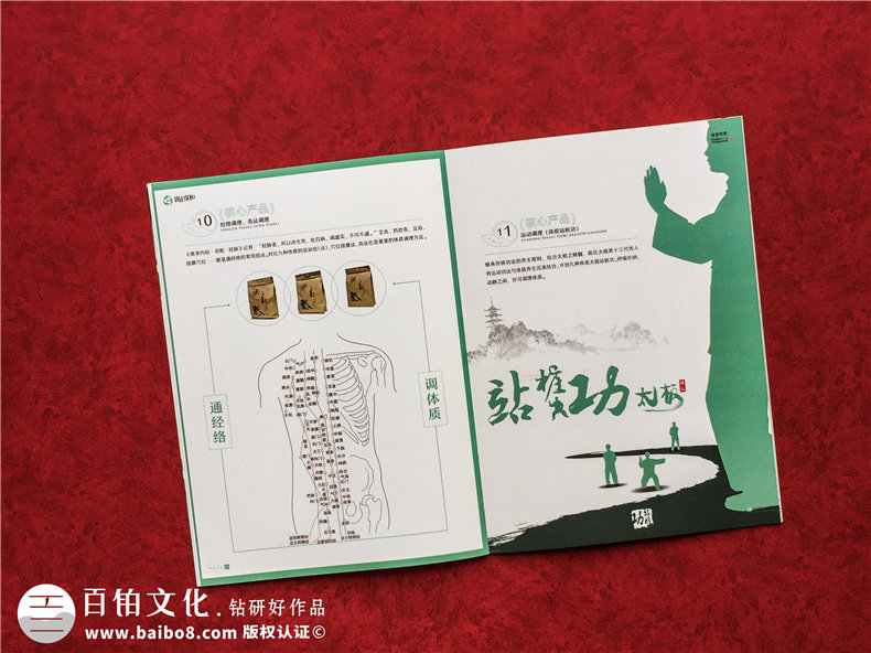 中醫(yī)藥產(chǎn)品宣傳冊設計-高端醫(yī)療科技公司畫冊-健康管理企業(yè)樣本冊