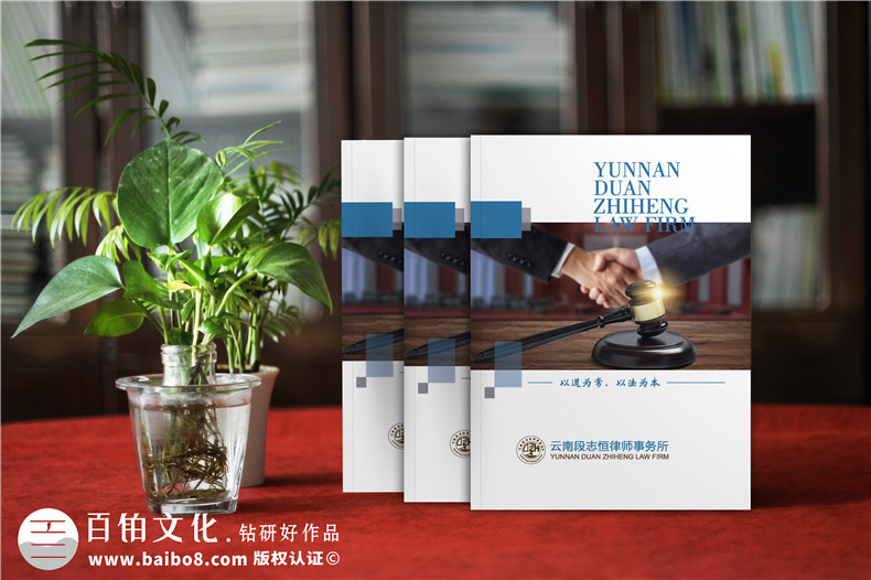 律師團(tuán)隊(duì)介紹宣傳冊(cè)設(shè)計(jì)-企業(yè)法律顧問宣傳彩頁