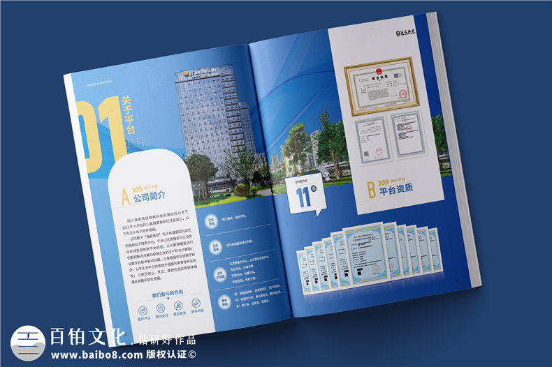 電商平臺(tái)簡介宣傳冊設(shè)計(jì)-校服電商采購平臺(tái)畫冊