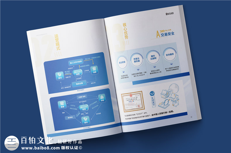 電商平臺(tái)簡介宣傳冊設(shè)計(jì)-校服電商采購平臺(tái)畫冊