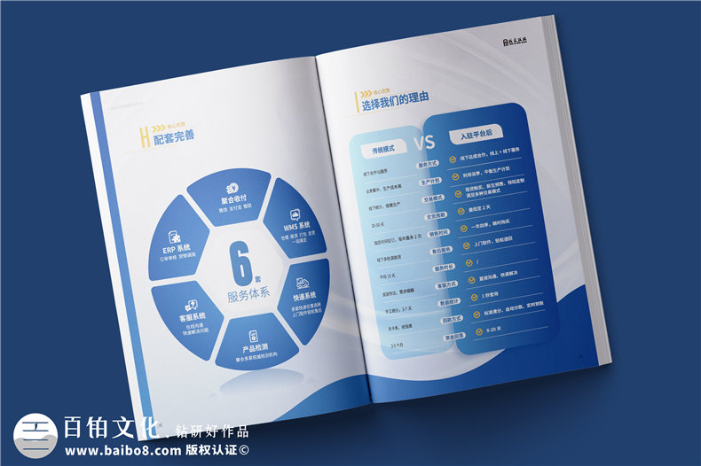 電商平臺(tái)簡介宣傳冊設(shè)計(jì)-校服電商采購平臺(tái)畫冊