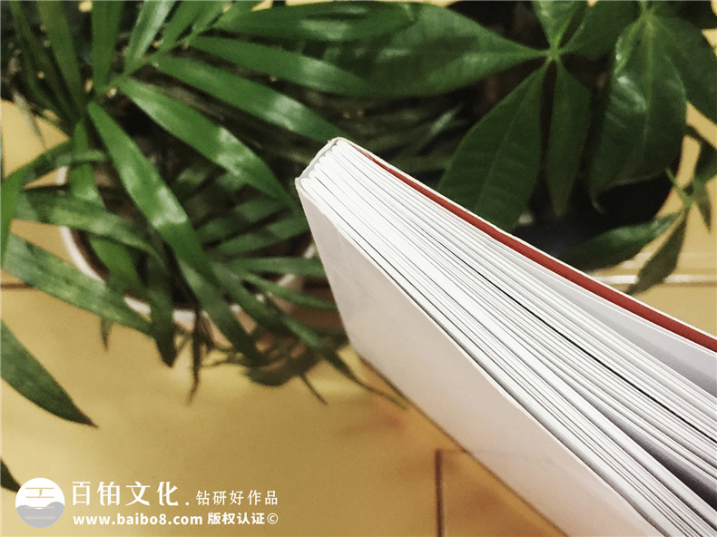 陶格個(gè)性定制藝術(shù)背景墻-產(chǎn)品宣傳畫冊(cè)設(shè)計(jì)