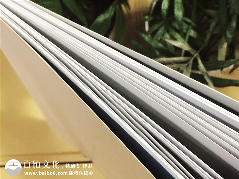 愛戀名品家私沙發(fā)產(chǎn)品宣傳畫冊設(shè)計-家具畫冊制