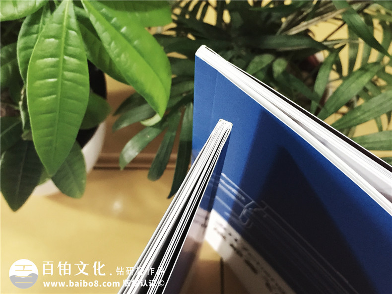企業(yè)形象畫(huà)冊(cè)設(shè)計(jì)-噴繪機(jī)產(chǎn)品宣傳畫(huà)冊(cè)制作