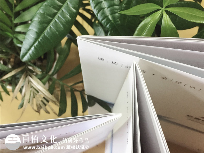 公司廣告宣傳畫冊(cè)設(shè)計(jì)-機(jī)械設(shè)備產(chǎn)品宣傳冊(cè)制作