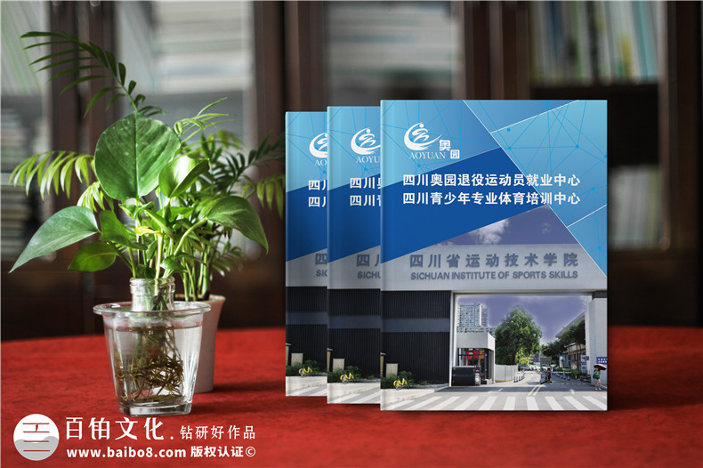 學(xué)校招生簡(jiǎn)章宣傳冊(cè)設(shè)計(jì)-畫(huà)冊(cè)設(shè)計(jì)制作