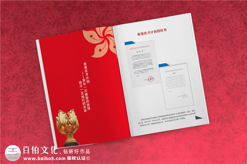 學(xué)校招生簡(jiǎn)章宣傳冊(cè)設(shè)計(jì)-畫(huà)冊(cè)設(shè)計(jì)制作