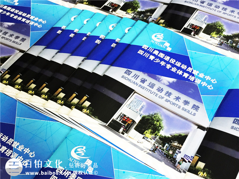 學(xué)校招生簡(jiǎn)章宣傳冊(cè)設(shè)計(jì)-畫(huà)冊(cè)設(shè)計(jì)制作