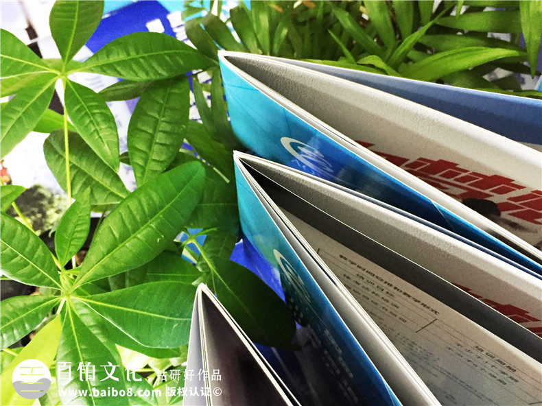 學(xué)校招生簡(jiǎn)章宣傳冊(cè)設(shè)計(jì)-畫(huà)冊(cè)設(shè)計(jì)制作