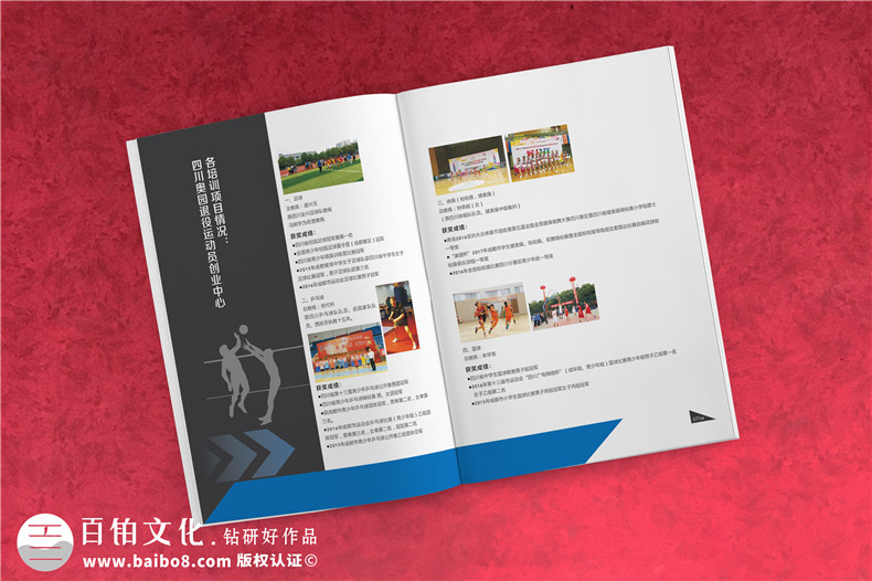 學(xué)校招生簡(jiǎn)章宣傳冊(cè)設(shè)計(jì)-畫(huà)冊(cè)設(shè)計(jì)制作