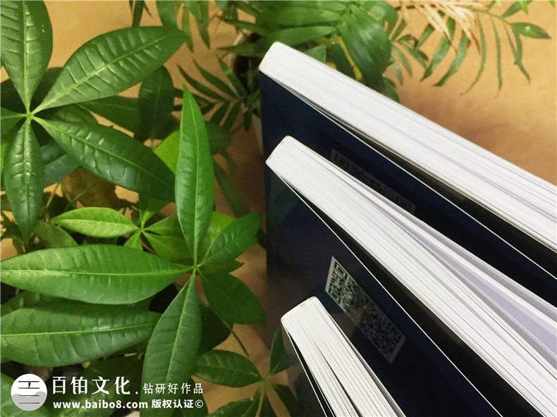 欣雅佳裝飾-家具畫冊(cè)設(shè)計(jì)-全屋定制宣傳冊(cè)制作