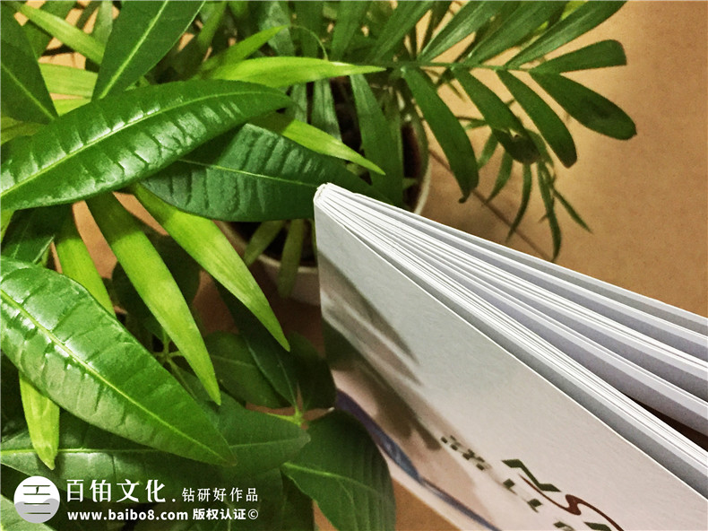 整體衛(wèi)浴家具畫冊(cè)設(shè)計(jì)-全屋定制家具圖冊(cè)制作印