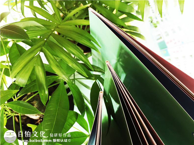 學(xué)校宣傳冊設(shè)計(jì)-江西撫州宣傳畫冊制作公司