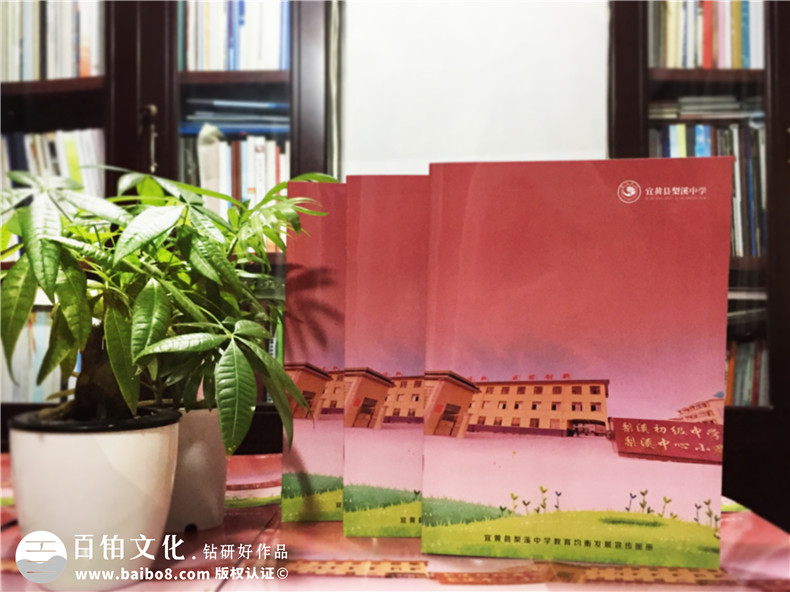 教育培訓(xùn)機構(gòu)宣傳冊設(shè)計-學(xué)校畫冊制作