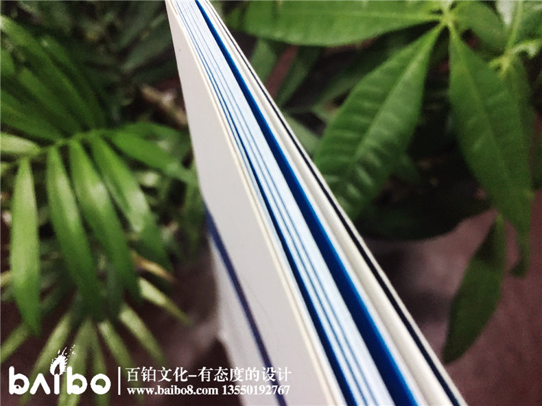 重慶晶美義齒產(chǎn)品宣傳畫(huà)冊(cè)-成都畫(huà)冊(cè)設(shè)計(jì)