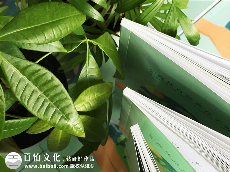 景區(qū)宣傳畫冊內(nèi)頁版式設(shè)計(jì)-旅游景點(diǎn)森林自然資源教育手冊怎么做?