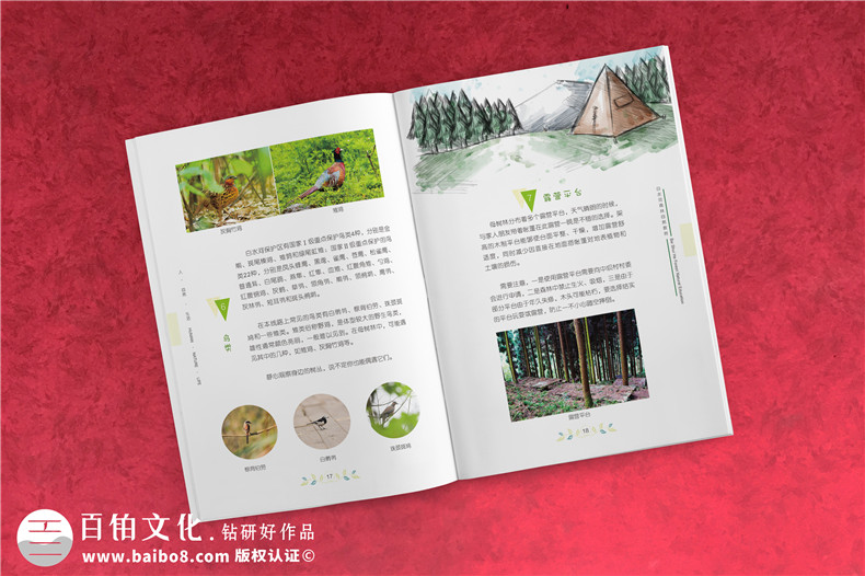 景區(qū)宣傳畫冊內(nèi)頁版式設(shè)計(jì)-旅游景點(diǎn)森林自然資源教育手冊怎么做?