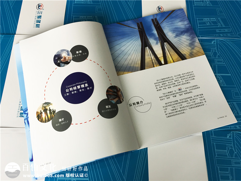 建材公司產(chǎn)品宣傳冊設(shè)計(jì),得突出“環(huán)保”優(yōu)勢