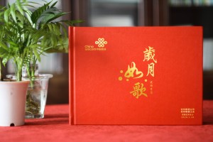 辦公室老員工六十歲退休個(gè)人畫冊-單位給職工家屬做的紀(jì)念冊怎么做
