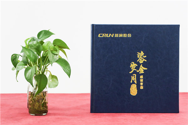 專家退休相冊-首席技術(shù)顧問榮休紀念冊