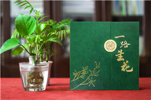 【高端定制?領(lǐng)袖印記】精裝領(lǐng)導(dǎo)紀(jì)念冊(cè) —— 鐫刻時(shí)光，鑄就榮耀