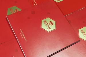 金融公司畫冊設計 金融行業(yè)宣傳冊設計要怎么做才好呢？