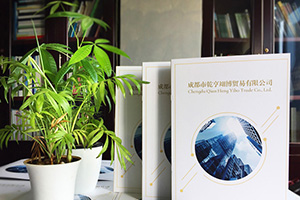企業(yè)畫冊設計方法分享 專業(yè)的畫冊設計公司致力于提升企業(yè)品牌！