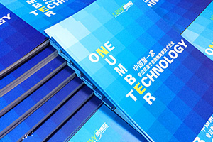 企業(yè)級畫冊設計 選擇專業(yè)的平面設計公司很重要！