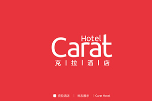品牌設(shè)計(jì)公司的專業(yè)理念 企業(yè)品牌塑造與策劃的方法！