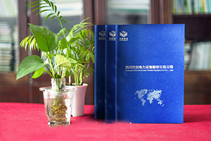 企業(yè)產(chǎn)品畫冊設計方法總結(jié) 專業(yè)畫冊設計的要點！